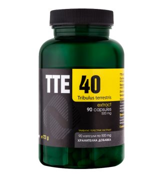 TTE 40